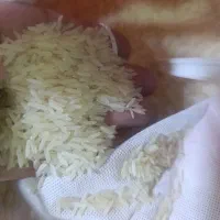 برنج هندی|خوردنی و آشامیدنی|فردیس, شهرک شهید حسینی|دیوار