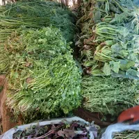 سبزی تازه و محلی، خورشتی و خوردنی