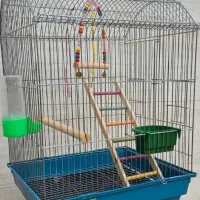 قفس عروس هلندی