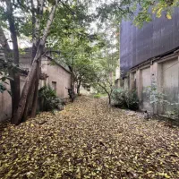 اجاره کافه رستوران بوتیک هتل