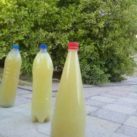 فروش آبلیمو طبیعی