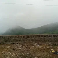 لیدرمحلی|فعالیت داوطلبانه تحقیقاتی|تهران, زعفرانیه|دیوار