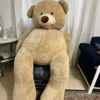 عروسک خرس|اسباب‌‌بازی|رشت, کوی یخ|دیوار