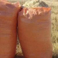 کاه در رامشیر  موجود درجه یک