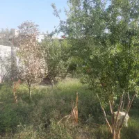 خانه باغ|فروش خانه و ویلا|جلین, |دیوار