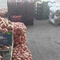 استخدام
