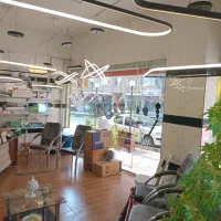 لوستر مدرن|لوستر و چراغ آویز|مهاباد (آذربایجان غربی), |دیوار