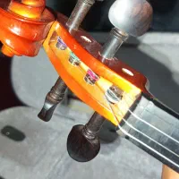 ویالن حرفه ایی