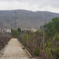 اجاره باغ واقع در کسایی|اجارهٔ کوتاه‌مدت ویلا و باغ|شیراز, فرهنگ شهر|دیوار