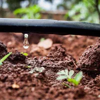 لوله    پلی اتیلن|عمده‌فروشی|قم, انسجام|دیوار