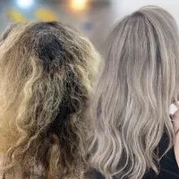 رنگ و لایت بدون یک درصد آسیب ب مو|خدمات آرایشگری و زیبایی|لاهیجان, فیاض|دیوار