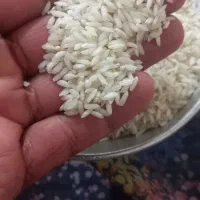 برنج عنبربو شوشتر|خوردنی و آشامیدنی|شوشتر, |دیوار
