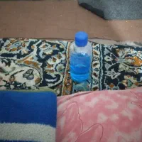 دو عدد شربت آلبالو سیاه پلمپ