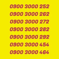 0900.3000.252