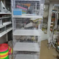 جفتگاه کبوتر تور چوبند آبخوری دانخوری