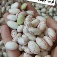 گل کلم وهویج وکرفس..و چیتی تحویل رایگان درب منزل|خوردنی و آشامیدنی|رشت, احمد گوراب|دیوار