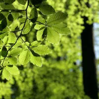 استخدام منشی