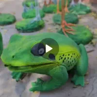 فلامینگو،|مجسمه، تندیس، ماکت|کرمان, |دیوار