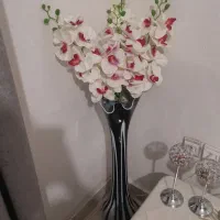 گل دون با گل