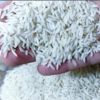 شریک و سرمایه گذار