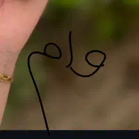 وام گیرنده