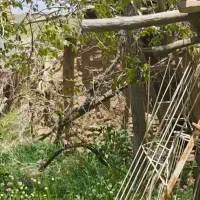 زمین-قلفتی-مربع-در-بحر-خیابان-بهترین-موقعیت