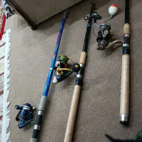 لنسر ماهیگیری درجه یک معاوضه با هرچیز