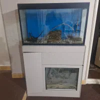 فروش آکواریم با تمام وسایل