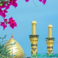 تور هوایی 4 روزه مشهد از شیراز