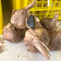 سیر سیاه اصل همدان به قیمت عمده فقط کیلویی ۳۹۰|خوردنی و آشامیدنی|تهران, ونک|دیوار