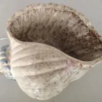 شکلات خوری قدیمی