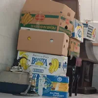 کارتون موز