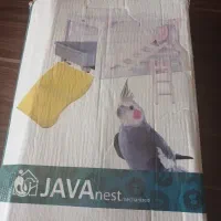 لانه عروس هلندی