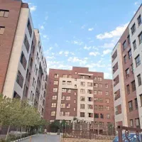 سه-خواب-زیتون-ابوطالب