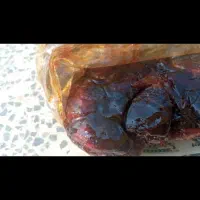 خرمای کبکاب|خوردنی و آشامیدنی|بندر کنگان, |دیوار