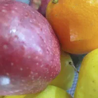 نیروی کار در میوه فروشی