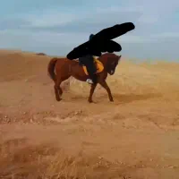 کرد ابست ۶ ماه