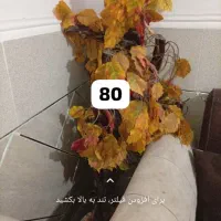 لوازم خانه|فرش|میناب, |دیوار