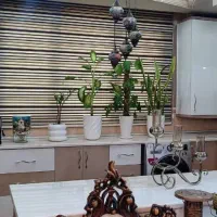 آپارتمان بسیار شیک تک واحدی|فروش آپارتمان|تهران, مقدم|دیوار