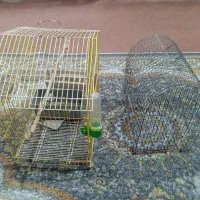 2 عدد قفس پرنده