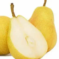 تولید نهال گلابی بیروتی|خدمات باغبانی و درختکاری|دره شهر, |دیوار