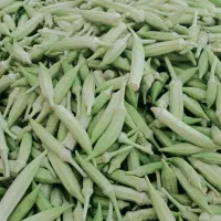 بامیه تازه چین