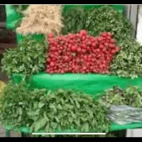همکار خانم جهت کار باسبزی خردکن