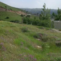 زمین مسکونی در روستای حور