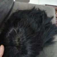 کلاه گیس مشکی طبیعی مجعد و بلند|آرایشی، بهداشتی، درمانی|ری, دولتآباد|دیوار