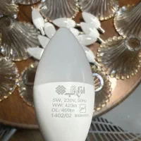 لامپ و لاله لوستر|لوستر و چراغ آویز|اراک, |دیوار