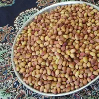پسته تازه