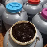 رب انارترش طارم