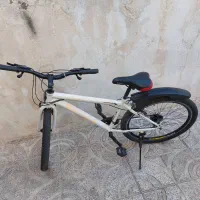 دوچرخه کوهستانی حرفه ای