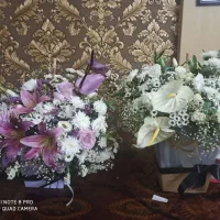 گل طبیعی تزیین شده مخصوص کادو|گل و گیاه طبیعی|مشهد, دانشجو|دیوار